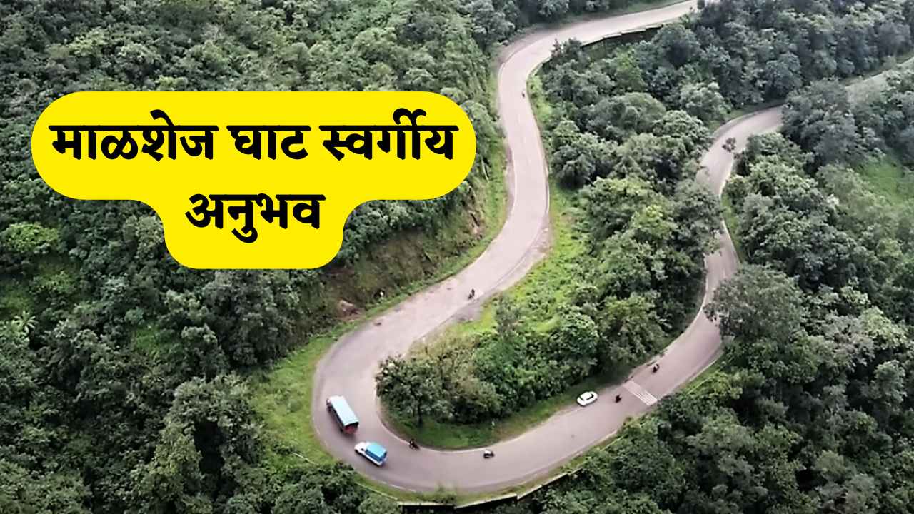 धुके, धबधबे आणि हिरवीगार टेकड्या – माळशेज घाट स्वर्गीय अनुभव