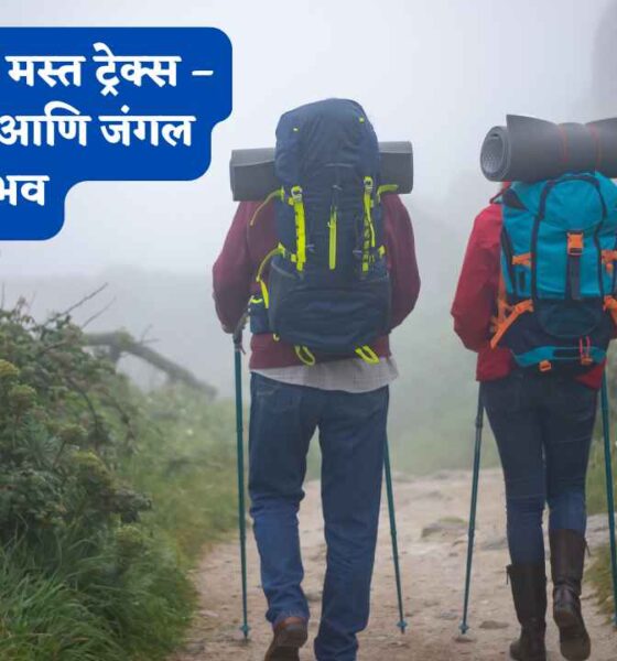 कोकणातील 5 मस्त ट्रेक्स